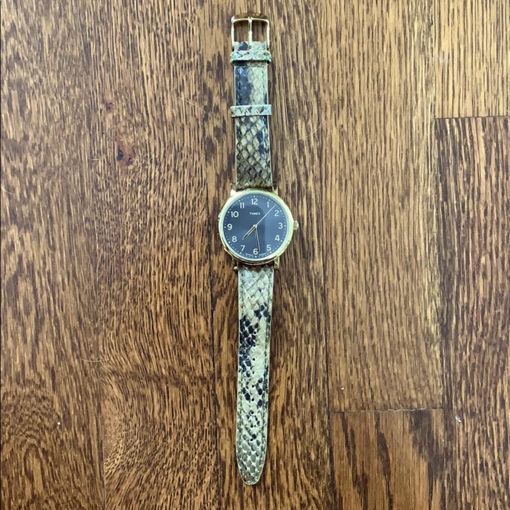 Timex Watch